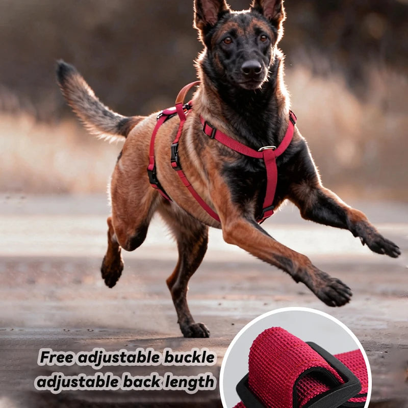 No-Pull Dog Harness for Large Dogs Outdoor Training Pet Supplies Escaspe-Proof Vest Dog Harness Collar Nylon Big Dog Chest Strap